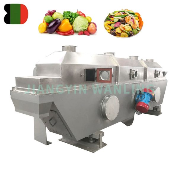 Vibrating fluid bed dryer