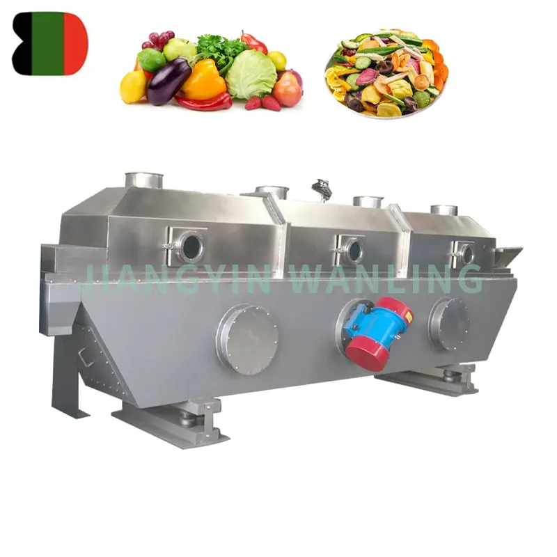 Vibrating fluidized bed dryer